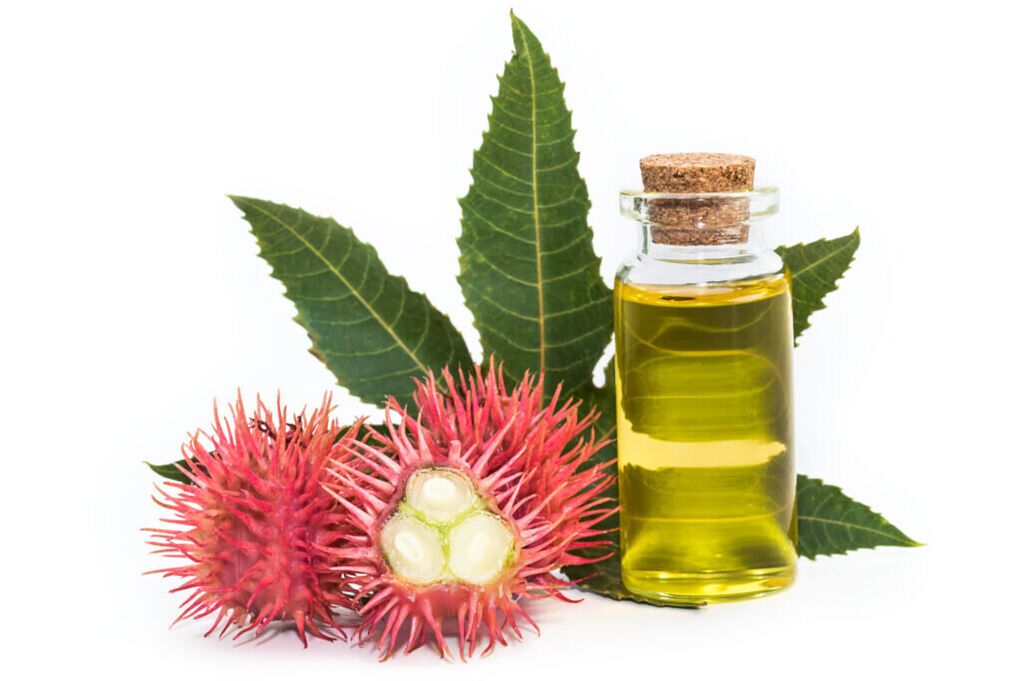 castor oil - cream composition Proctonic